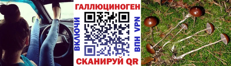 Галлюциногенные грибы ЛСД Купить Юрга